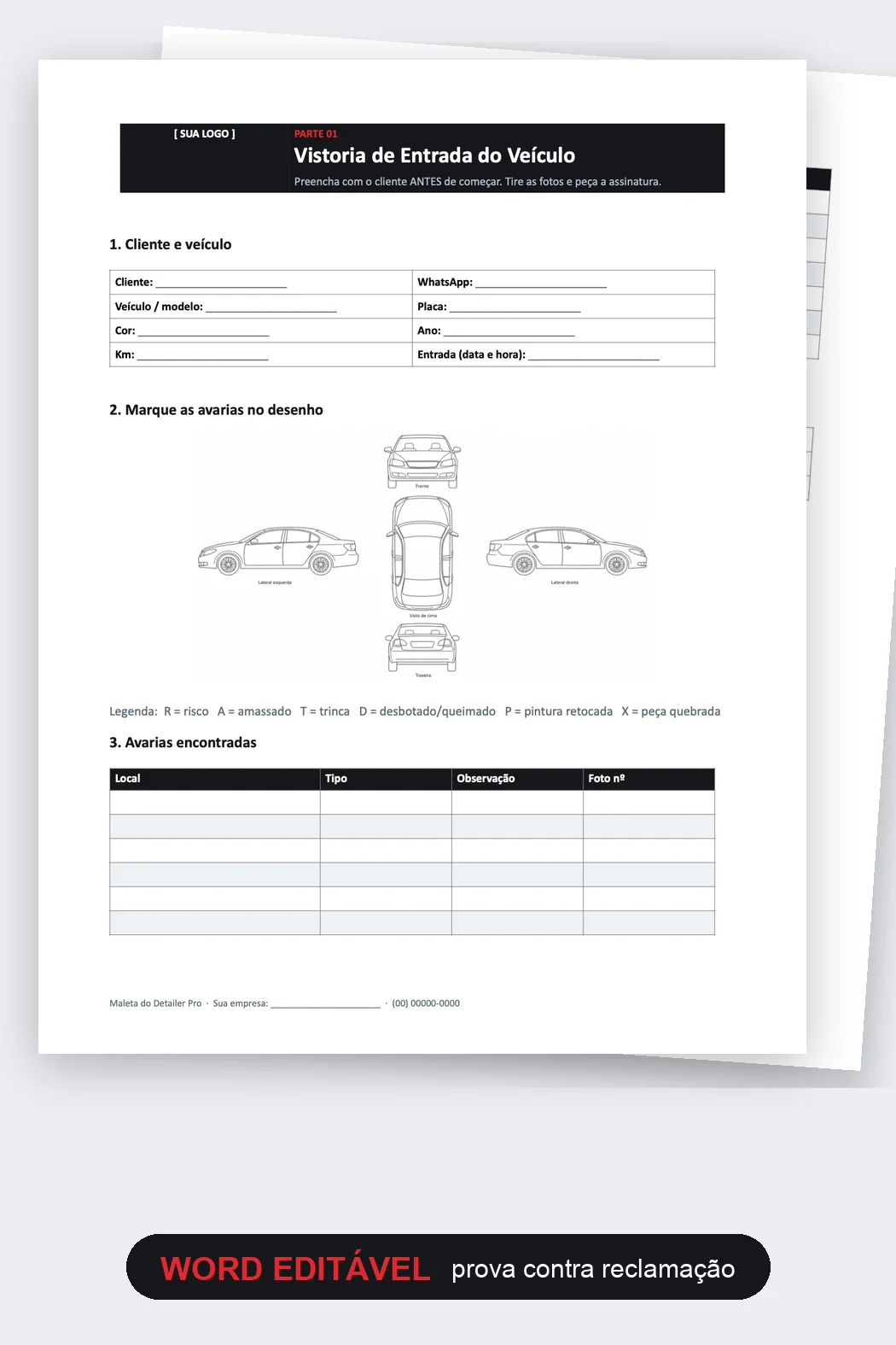 Vistoria de Entrada com Desenho do Carro